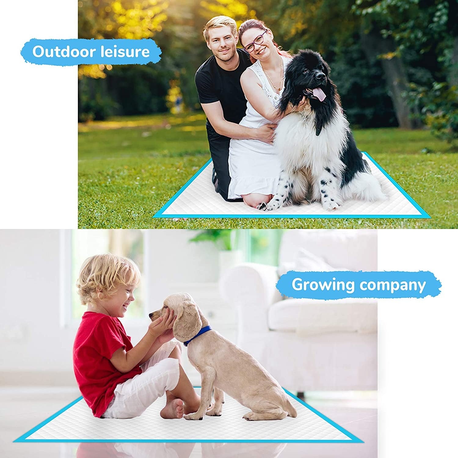 Disposable Pet Diaper Pads & Training Pee Pads for Dogs & Cats