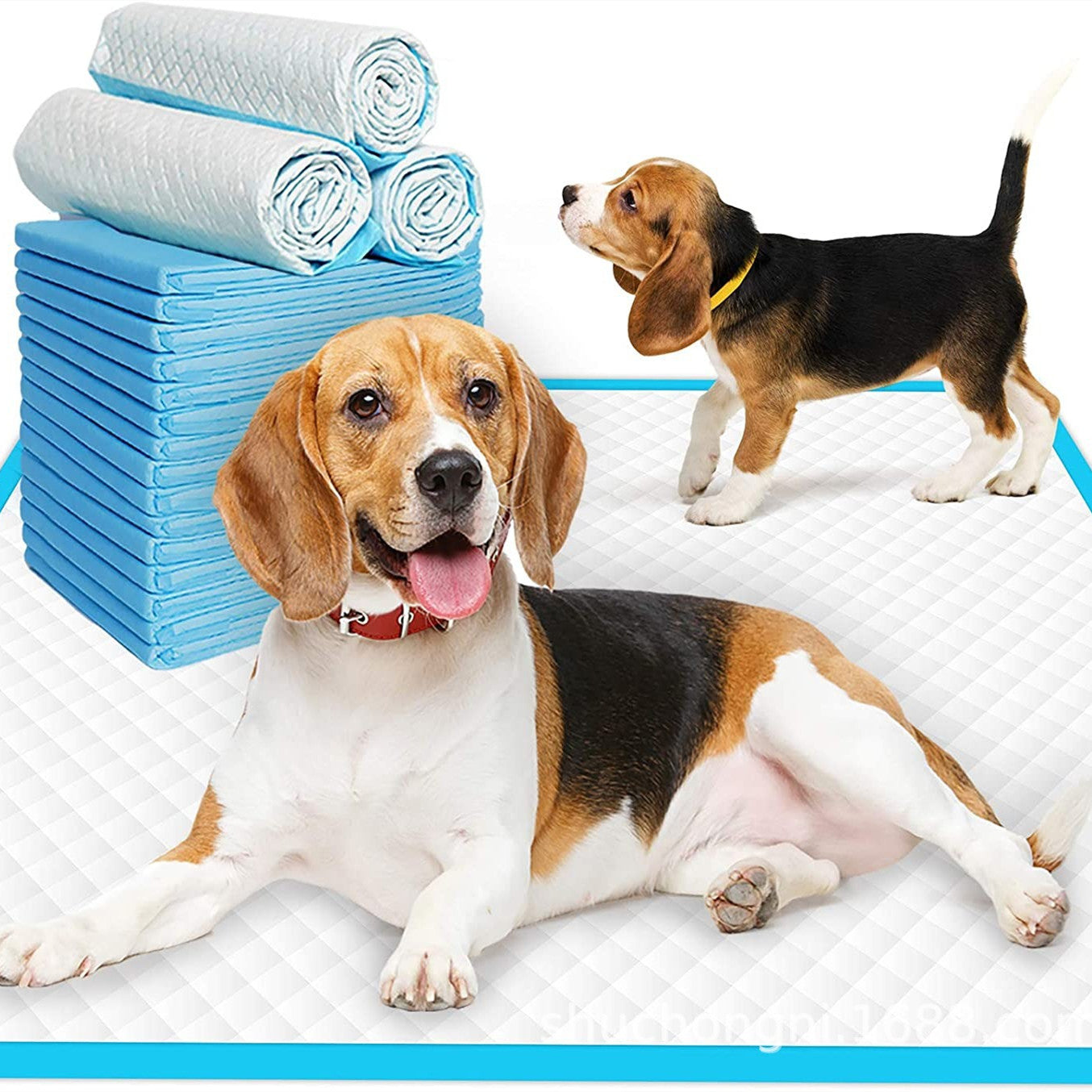 Disposable Pet Diaper Pads & Training Pee Pads for Dogs & Cats