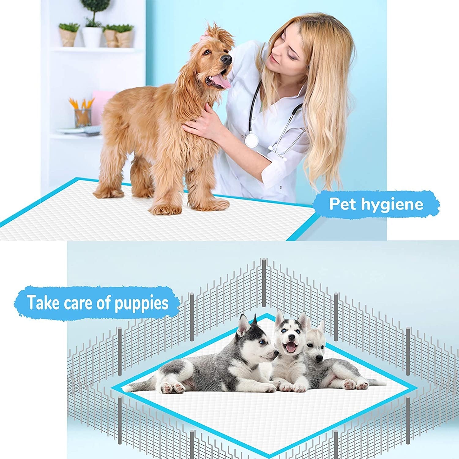 Disposable Pet Diaper Pads & Training Pee Pads for Dogs & Cats